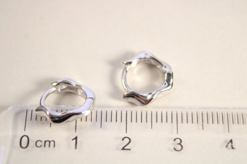 Lesklé strieborné náušnice kruhy, rhodium, kĺbové zapínanie, 1,75 g, 925/1000