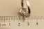 Strieborný prsteň slza - Číry zirkón - 925 - rhodium