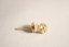 Zlaté náušnice-brilianty 0,145 ct G-H/SI-žlté zlato- šrúbky- 14K