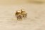 Zlaté náušnice na puzetu, kombinované zlato, diamant 0,06ct SI2 H, 1,18g 14k 585/1000