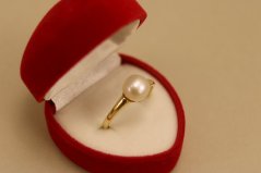 Prsteň - sladkovodná perla - žlté zlato - 14 karátov