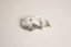 Strieborné náušnice keltské kruhy, zasúvacie zapínanie, rhodium, 0,95 g, 925/1000
