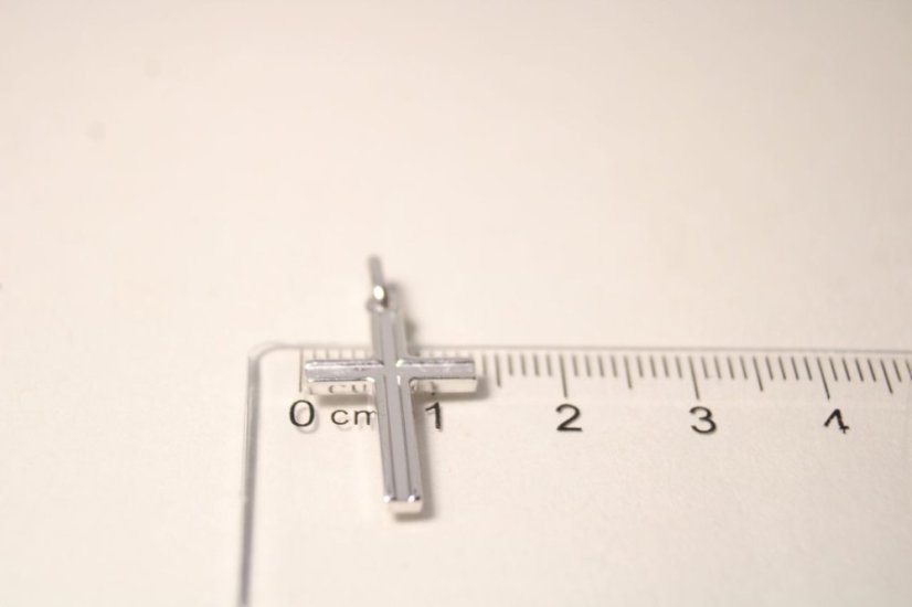 Pánsky prívesok z rhodiovaného striebra, 1,36 g, 925/1000 - Materiál: Rhodiované striebro, Váha (g): 1,36, Rýdzosť: STRIEBRO 925/1000