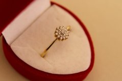 Zlatý prsteň - Briliantový kvet - 14k - žlté zlato