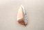 Kombinovaný strieborný prívesok s čírymi zirkónmi, rhodium, 1,04 g, 925/1000