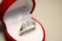 Prsteň-číre zirkónysedmokrásky-rhodium-striebro