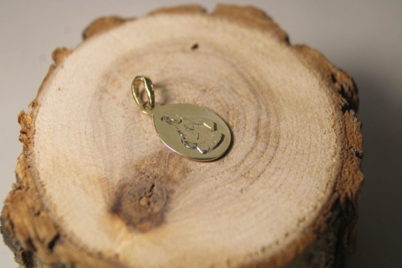 Prívesok Panna Mária Škapuliarska zo žltého zlata, 0,96 g, 14K 585/1000 - Farba zlata: Žltá, Váha (g): 0,96, Rýdzosť: 14 karátov 585/1000