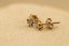 Zlaté náušnice na puzetu, kombinované zlato, diamant 0,06ct SI2 H, 1,18g 14k 585/1000