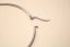 Naušnice- hladké kruhy- francúzsky zámok- chirurgická oceľ