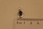 Prívesok-prírodný granát- číre zirkóny- rhódiované striebro