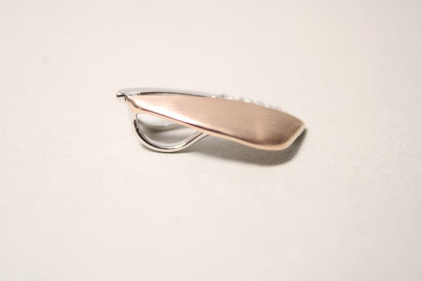 Kombinovaný strieborný prívesok s čírymi zirkónmi, rhodium, 1,04 g, 925/1000